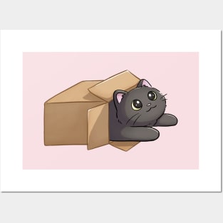 Cute Black Cat In A Box Posters and Art